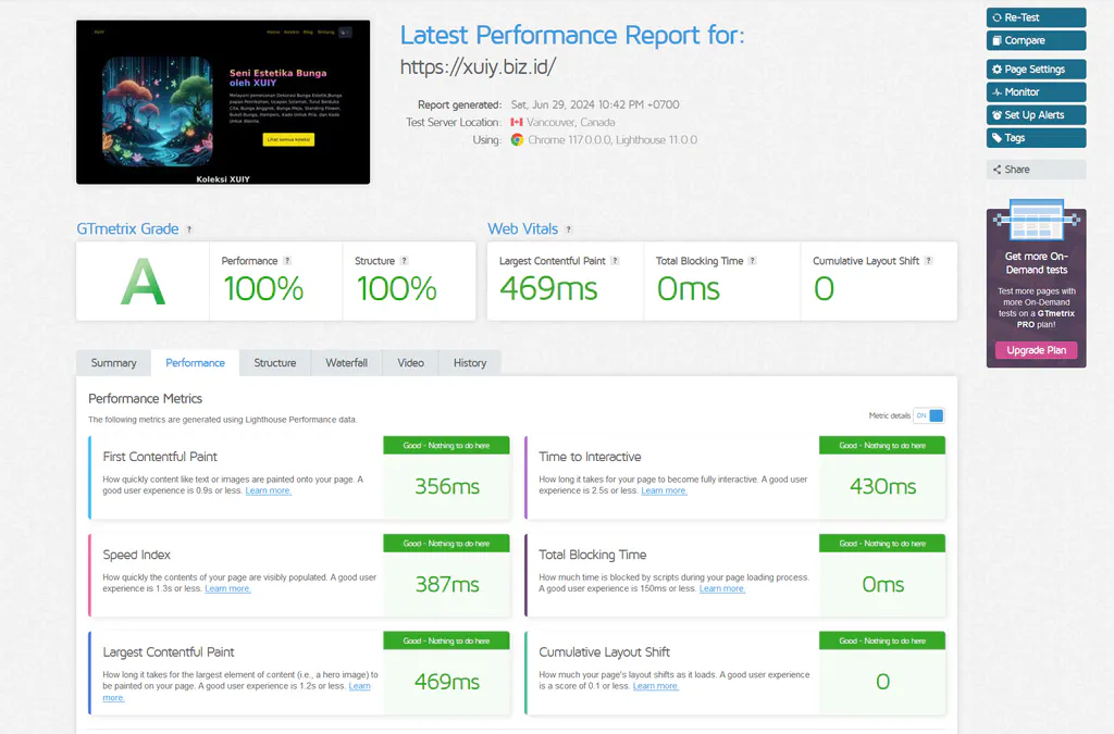 Professional Website Speed Optimization Services